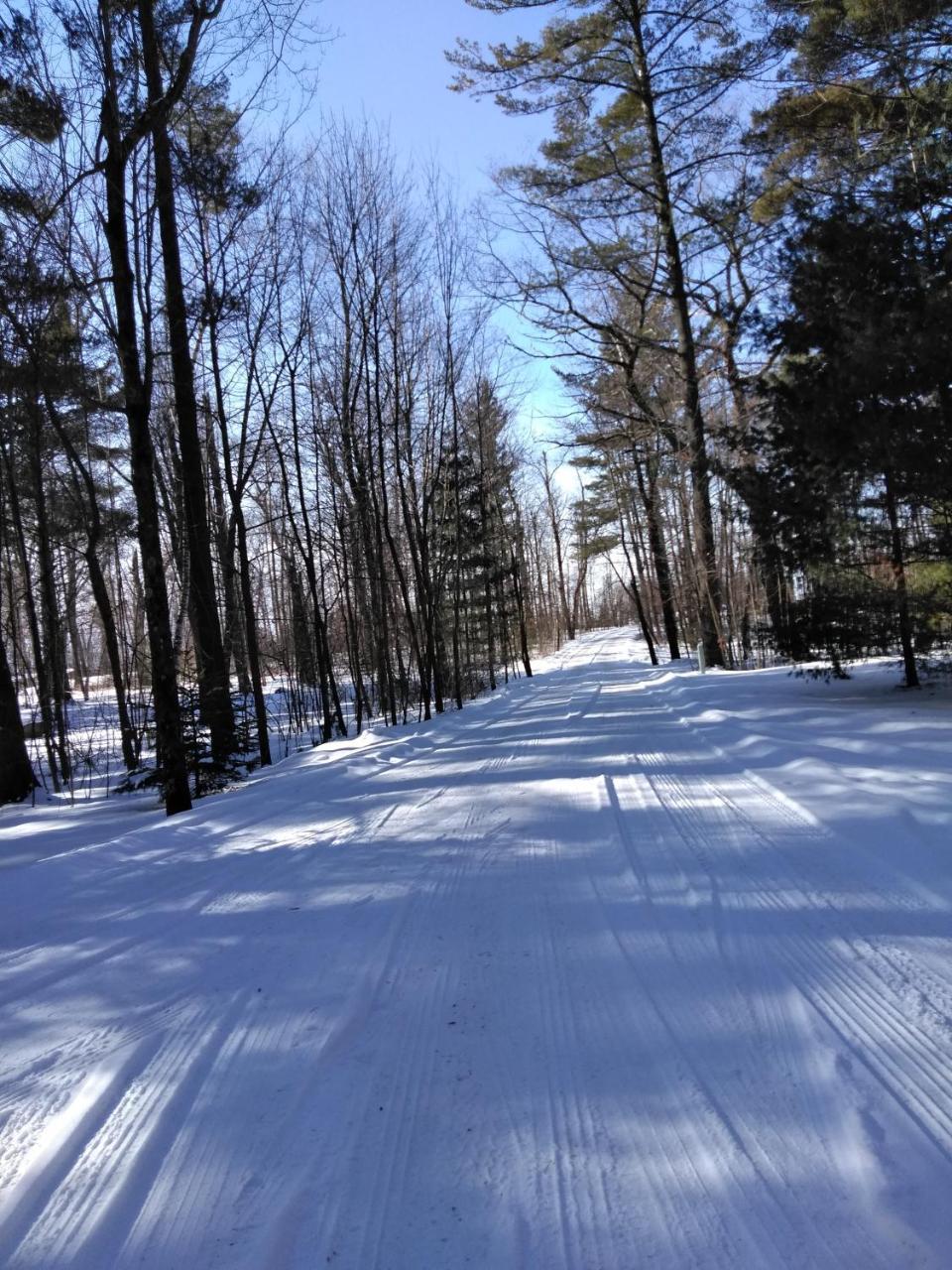 Bed And Breakfast Suite At The Wooded Retreat Pine City 외부 사진