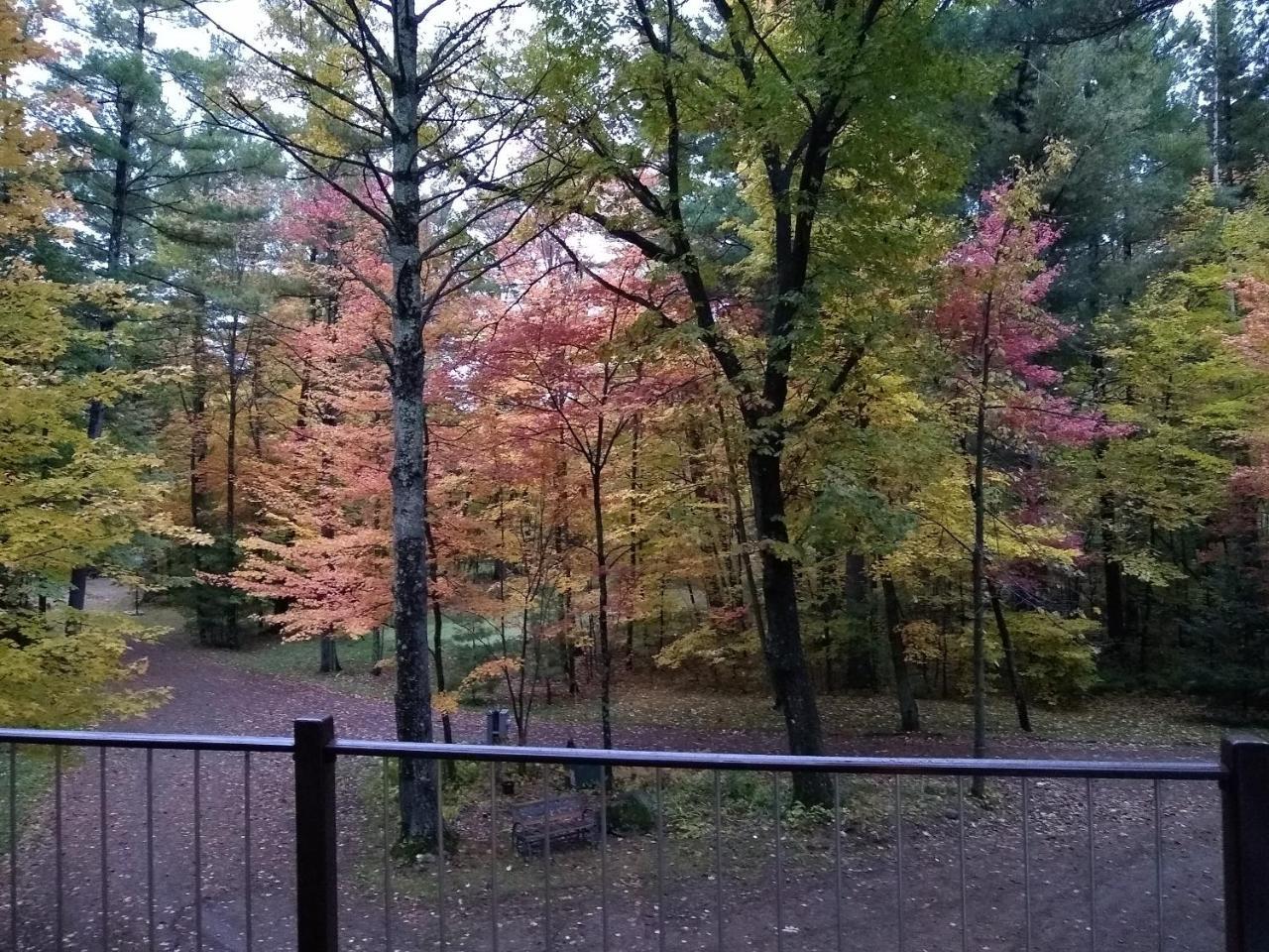 Bed And Breakfast Suite At The Wooded Retreat Pine City 외부 사진